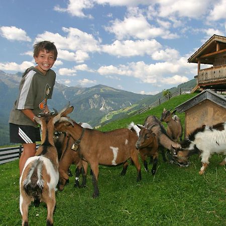Pension Sonneck Neukirchen am Großvenediger 외부 사진